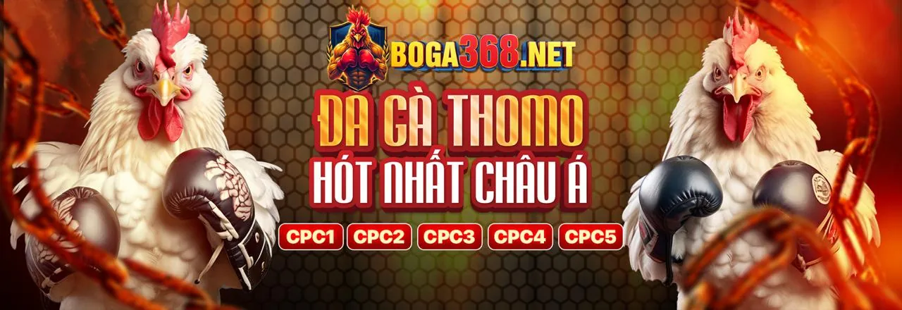 Hình ảnh banner tin tức ribbet link vào mới nhất