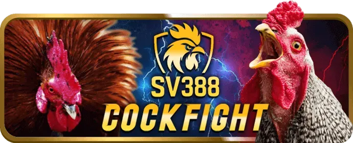 Nàng Tiên Cá Vàng